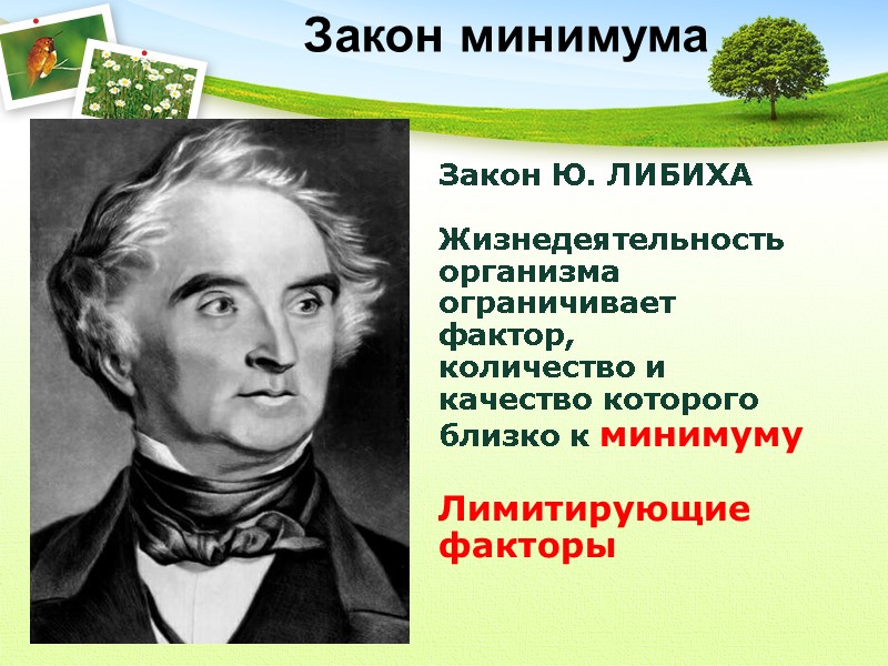 Закон Ю. ЛИБИХА   Жизнедеятельность организма  ограничивает фактор,  количество и 